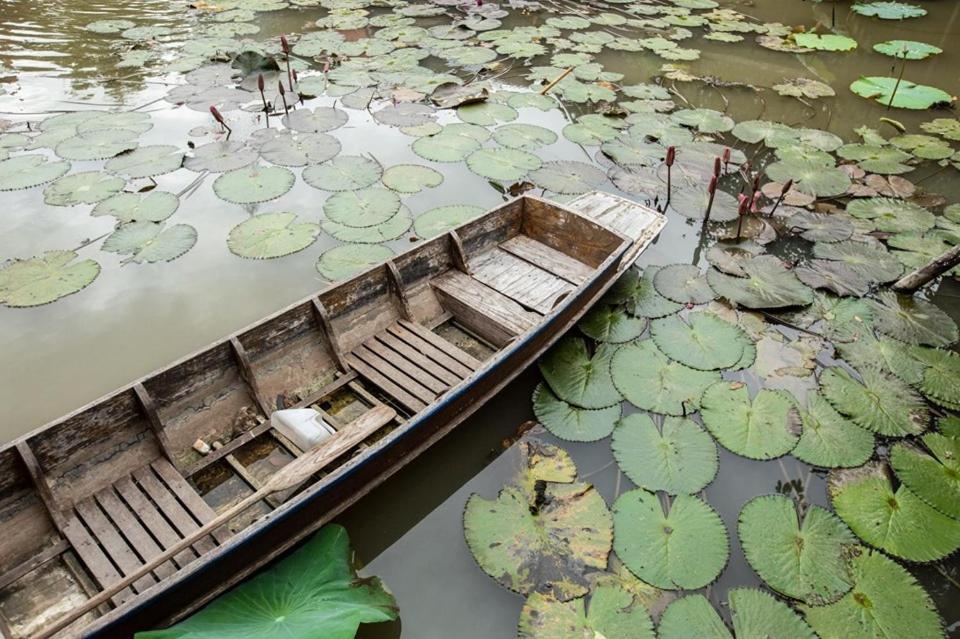 Ayutthaya Retreat Hotel Ngoại thất bức ảnh
